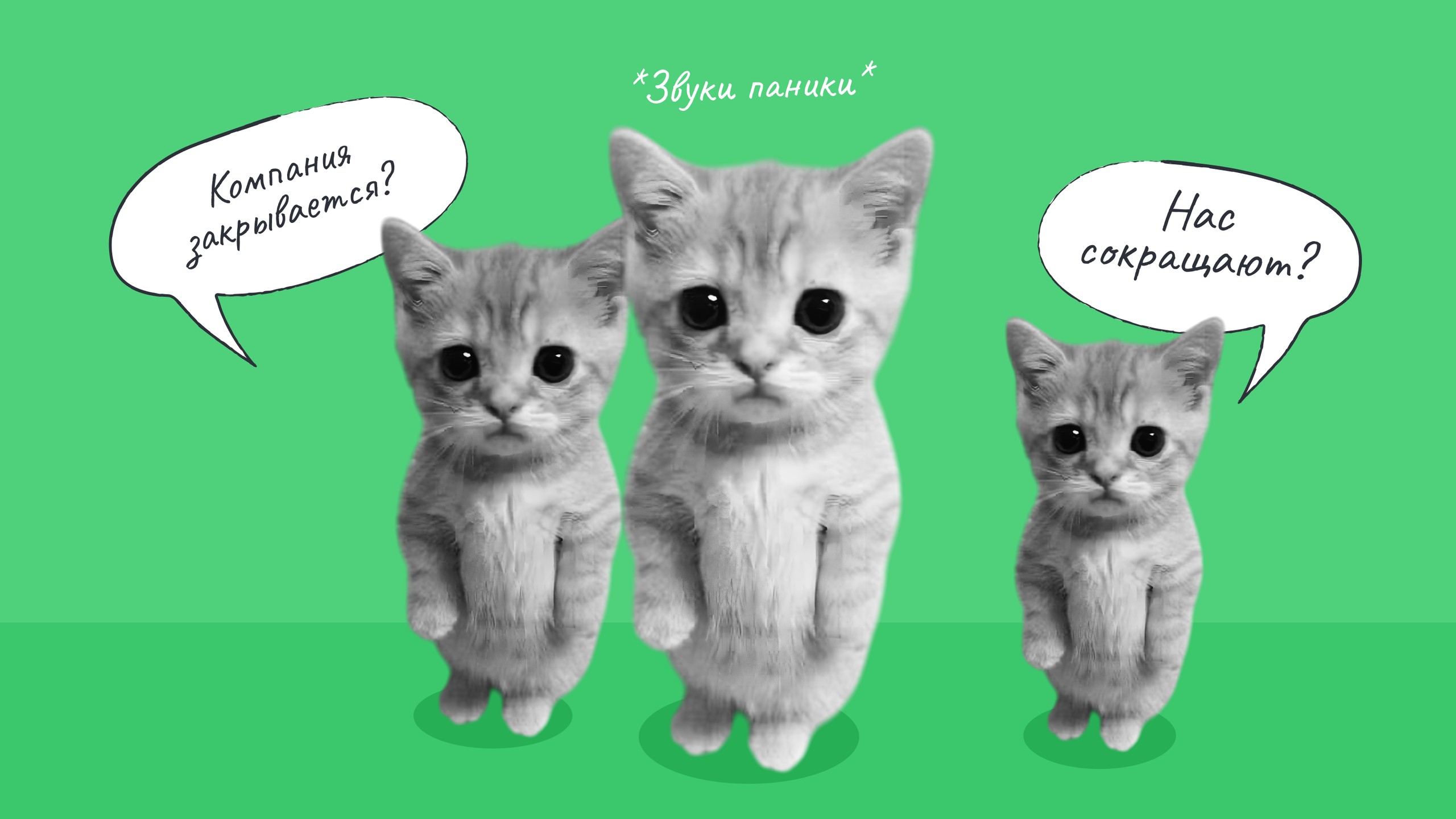 Без паники: как предпринимателю говорить и поддерживать команду в кризис