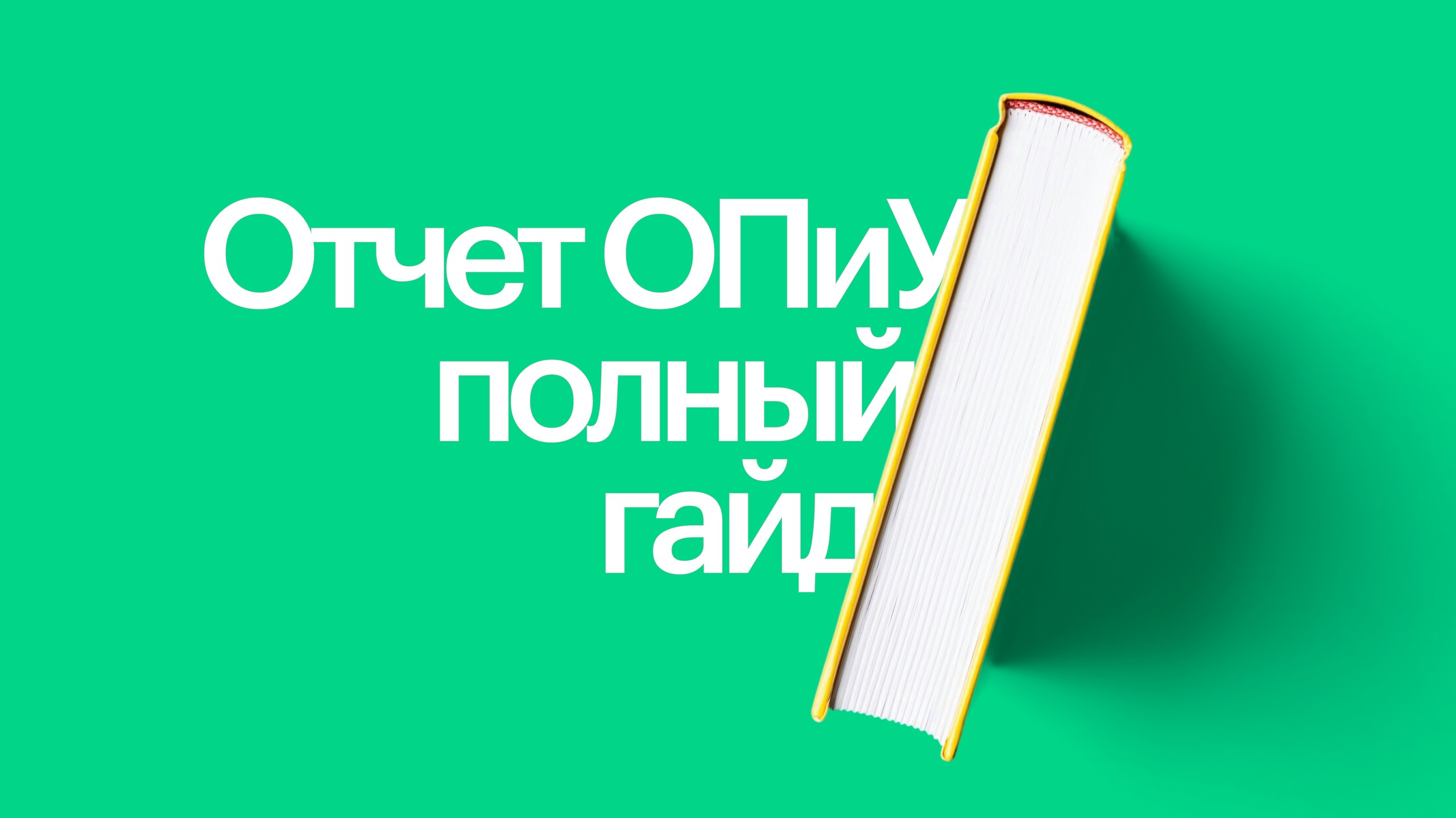 Отчет о прибылях и убытках: полный гайд