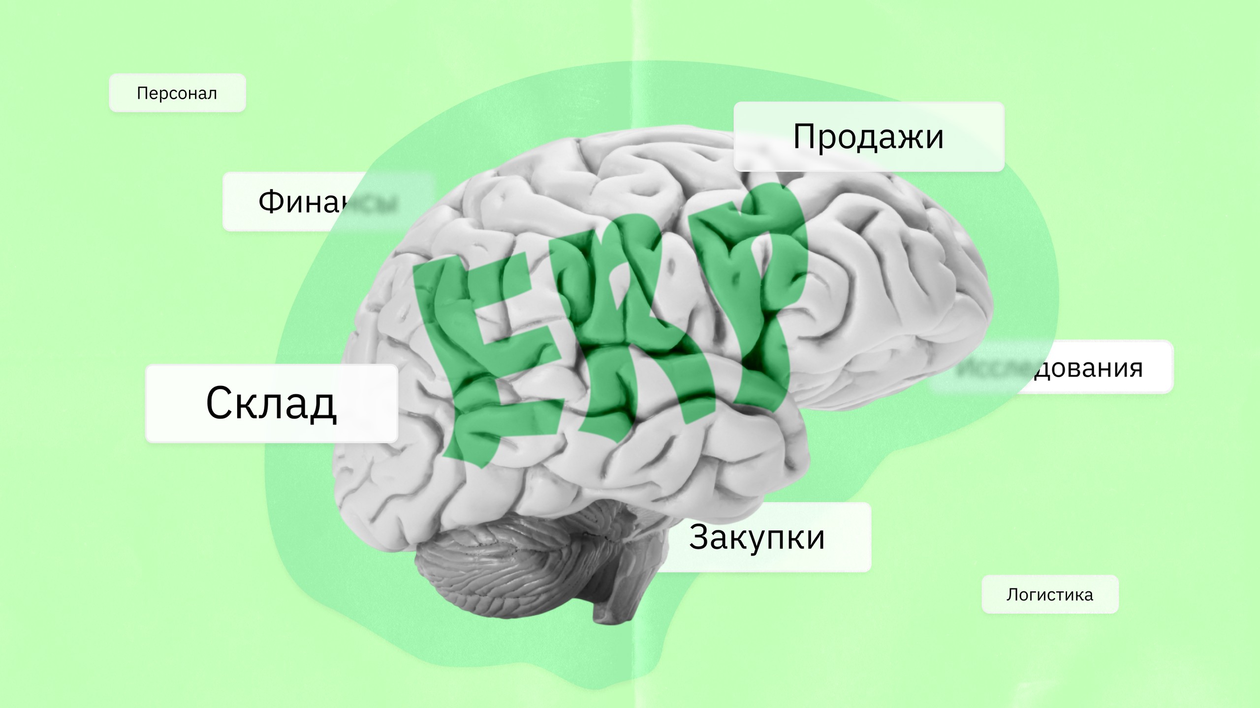 ERP-система для малого бизнеса: что это, для чего нужна, возможности, как внедрить